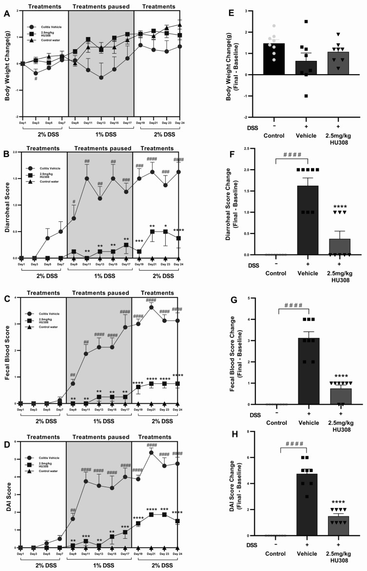Effect of HU308 on clinical parameters in DSS-induced chronic colitis. HU308 treatment significantly mitigated DSS-induced body weight loss (A,E), diarrhoeal scores (B,F), faecal blood scores (C,G), and DAI scores (D,H) compared to the colitis vehicle group. Data are presented as mean ± SEM, with significant differences indicated by * p < 0.05, ** p < 0.01, *** p < 0.001, **** p < 0.0001 compared to vehicle groups and #### p < 0.0001, ### p < 0.001, ## p < 0.01, # p < 0.05 compared to control groups. Statistical significance was determined using one-way ANOVA followed by Dunnett’s multiple comparisons test.