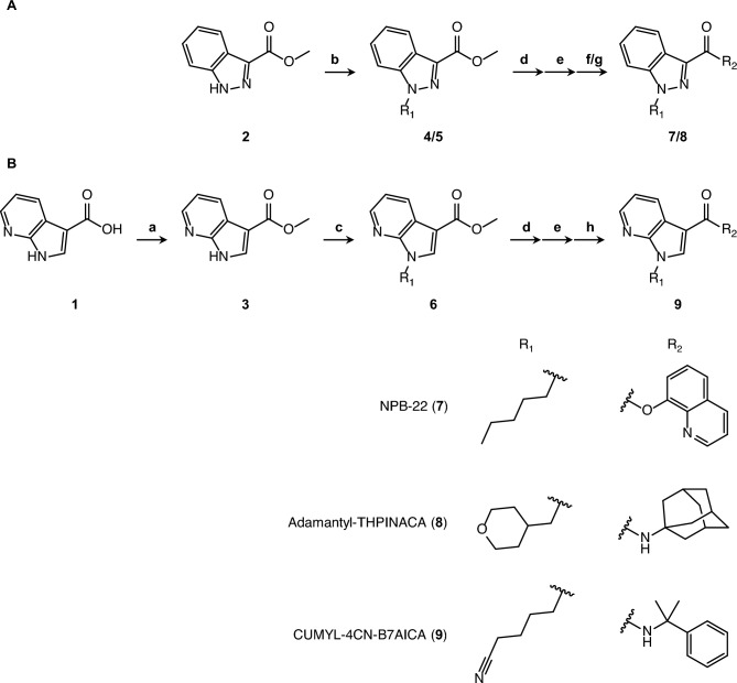 Synthesis route for the compounds under study