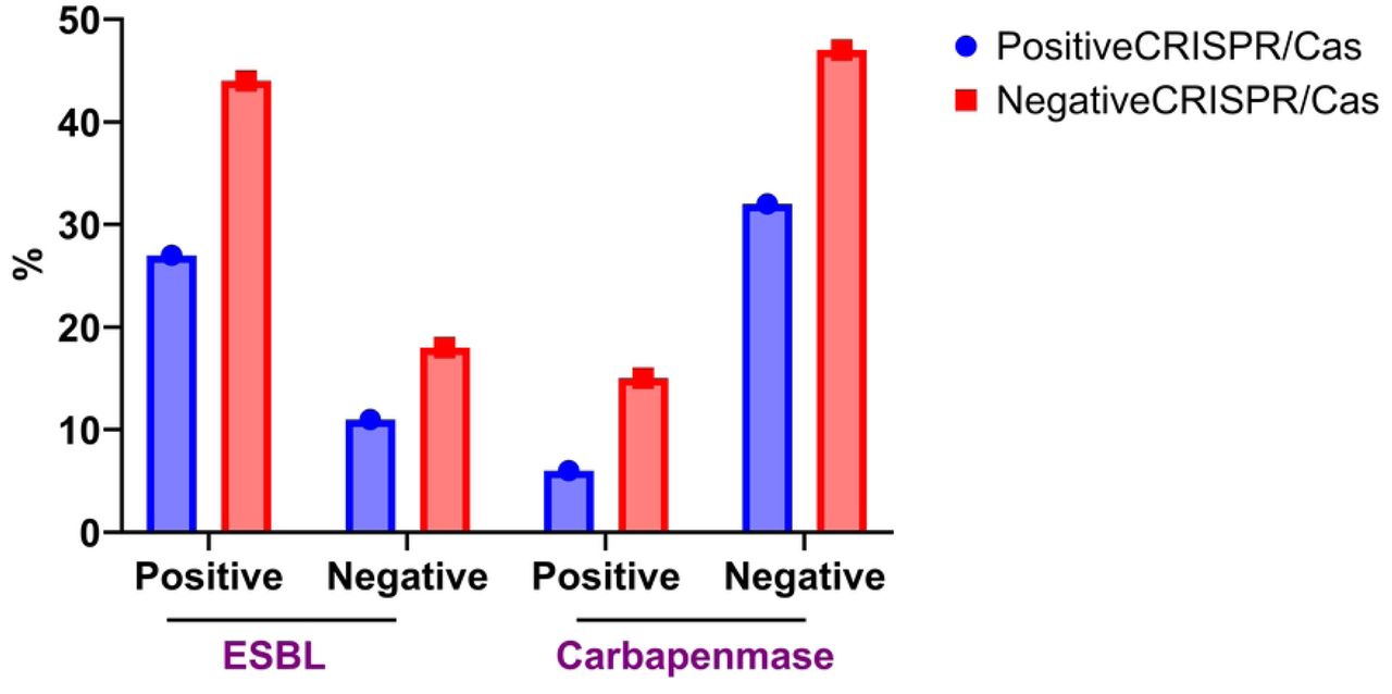 The frequency of the CRISPR/Cas system in K. pneumoniae isolates that produce ESBLs and carbapenemases.
