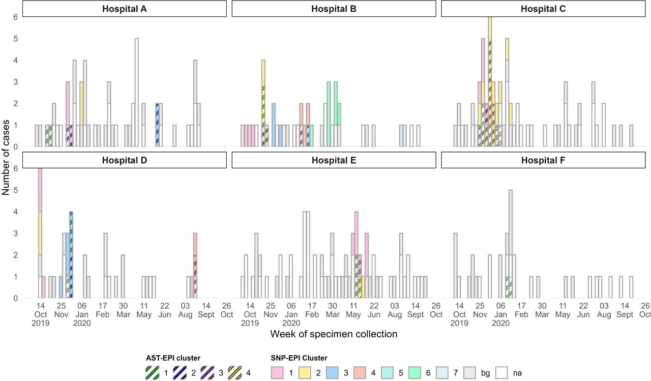 Infection clusters of A) K. pneumoniae, B) A. baumannii, and C) S. aureus detected in Hospital A-F using the SNP-EPI and AST-EPI cluster criteria, September 2019-October 2020. Boxes shaded in grey (bg) represent cases with both pathogen antimicrobial susceptibility testing (AST) and whole genome sequence (WGS) data but were not linked to clusters. White boxes (na) represent case-patients without AST and/or WGS data and thus excluded from the analysis