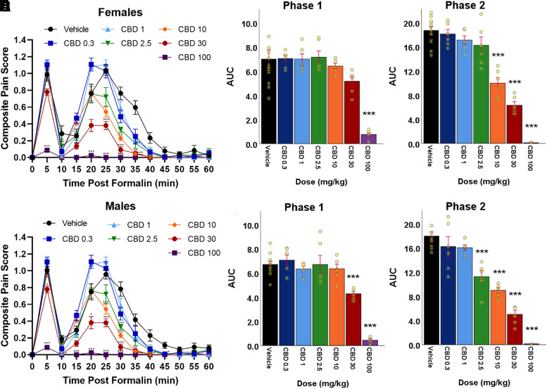 Dose-dependent antinociceptive effects of CBD in the formalin test in wild-type mice. CBD suppressed formalin-induced pain behavior in a dose-dependent manner in both female (A) and male (B) wild-type mice. In female mice, CBD decreased the AUC at 100 mg/kg in Phase 1 (C) and at 10–100 mg/kg in Phase 2 (D). In male mice, CBD decreased the AUC at 30–100 mg/kg in Phase 1 (E) and at 2.5-100 mg/kg in Phase 2 (F). Data are expressed as mean ± S.E.M. (vehicle: n = 12 females and n = 12 males; CBD 0.3 mg/kg, 1 mg/kg, 2.5 mg/kg, 10 mg/kg, 30 mg/kg, and 100 mg/kg: n = 6 females and n = 6 males). (A) Time post formalin (min) versus composite pain score (CPS) in female wild-type mice. (B) Time post formalin (min) versus CPS in male wild-type mice. (C) Compound versus AUC during Phase 1 in female wild-type mice. (D) Compound versus AUC during Phase 2 in female wild-type mice. (E) Compound versus AUC during Phase 1 in male wild-type mice. (F) Compound versus AUC during Phase 2 in male wild-type mice. Repeated measure one-way ANOVA with Bonferroni post-hoc used to calculate significance for (A) and (B). One-way ANOVA with Bonferroni post-hoc used to calculate significance for (C), (D), (E), and (F). Relative to vehicle: *P < 0.05, **P < 0.01, ***P < 0.001.