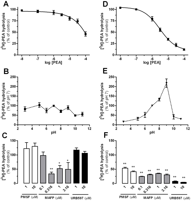 Further characterization of PEA Hydrolysis by Yeast Homogenates.The effect of increasing concentrations of PEA on [3H]-PEA hydrolysis by yeast (A) and HEK293 cells (D) homogenates and the influence of the pH on [3H]-PEA hydrolysis by yeast (B) and HEK293 cells (E) homogenates were determined. The following buffers were used (100 mM): NaAcetate (pH 3–5), HEPES (pH 6–7), Tris (pH 8–9) and Na2B4O7 (pH 10–11). The serine hydrolase inhibitors PMSF and MAFP and the specific Faah inhibitor URB597 differentially affected [3H]-PEA hydrolysis by yeast (C) and HEK cells (F) homogenates. Data points represent the mean±SEM of 3 to 5 experiments performed in duplicate and are expressed as percentage of control. * P<0.05 and ** P<0.01 compared to control homogenates (ANOVA one-way, Dunnett's post test).