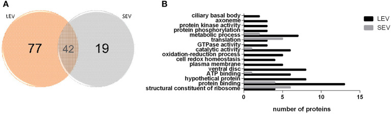 EV subtypes derived from G. intestinalis differ in protein cargo. (A) Venn diagram of peptides identified in LEV and SEV. (B) Gene ontology for proteins identified in LEV and SEV.