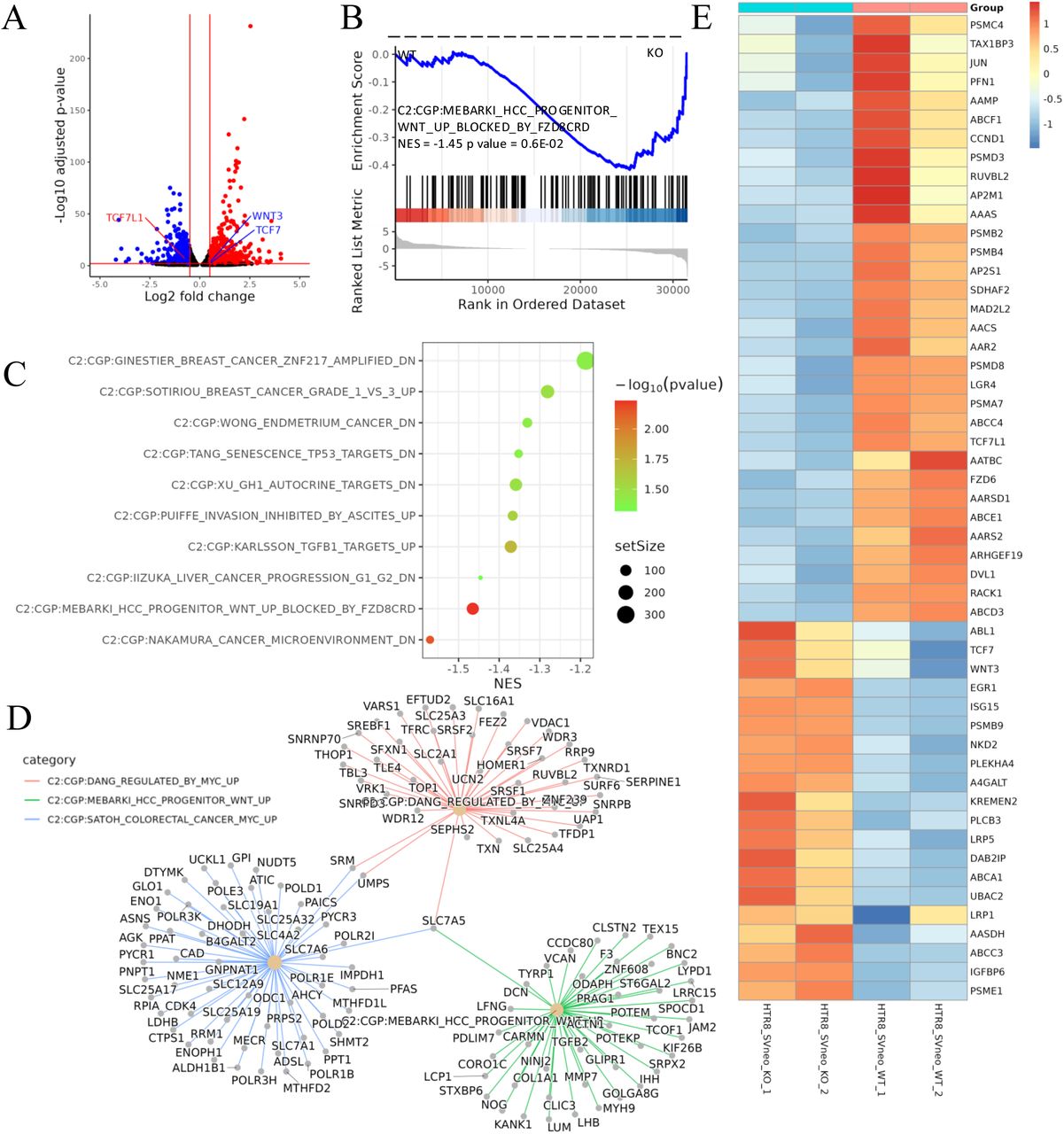 Transcriptomic analysis revealed that ACVR2A may suppress cell biological behavior through the Wnt/TCF7 pathway in HTR8/SVneo cell lines.(A) Volcano plots of RNA-seq for all the genes compared HTR8/SVneo-ACVR2A-KO and WT.(B) One representative hallmark pathway, the Wnt pathway, in the ACVR2A-KO group.(C) The enriched biological process pathways in cell invasion and migration based on DEGs (p value cutoff = 0.05).(D) The category netplot depicted the linkages of downregulated genes and three biological concepts that are related to ACVR2A as a network.(E) Heatmap of differentially expressed genes (DEGs) about Wnt pathway between experimental and normal control groups. Red and blue represent significantly upregulated and downregulated genes, respectively.