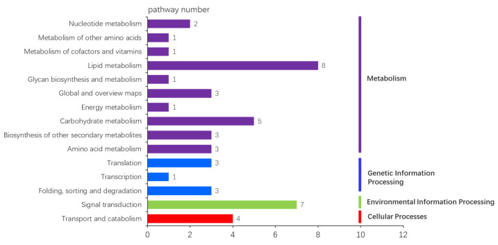 The unique pathway number of novel genes in KEGG database.