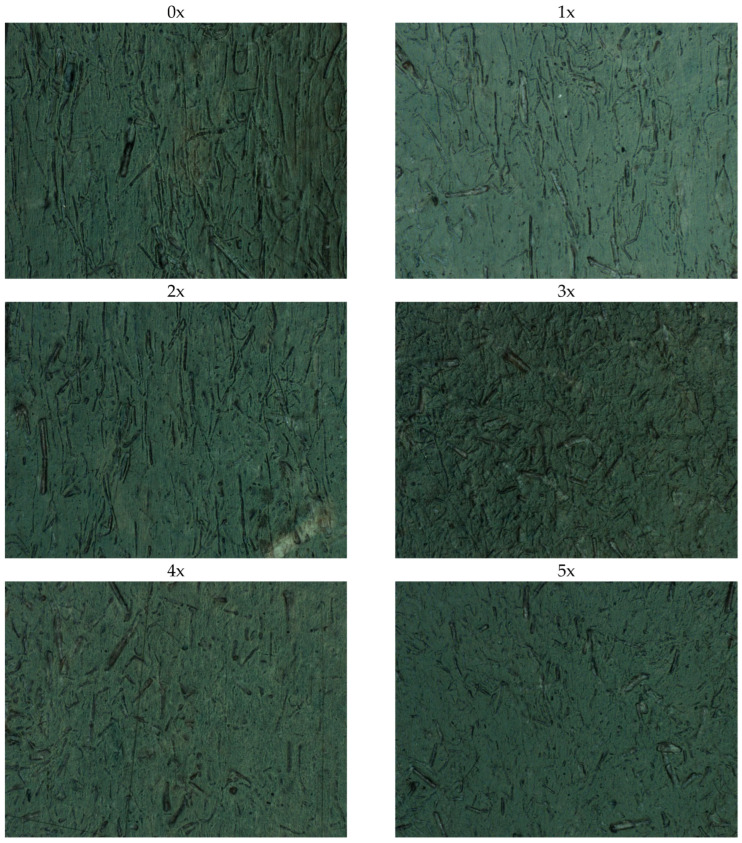 Photographs of fibers on the surface top layer of the molded piece for subsequent biocomposite reprocessing cycles (50× magnification).