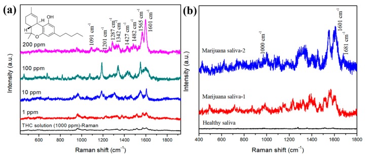 (a) SERS spectra of THC molecules (200, 100, 10, and 1 ppm) in methanol, and (b) SERS spectra from marijuana-users’ saliva samples.