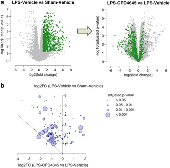 CPD-4645 alters LPS-induced gene expression profiles. a Volcano plots showing expression changes of the LPS upregulated genes (left, green points) after treatment with CPD-4645 (right). b Bubble plot showing changes in expression of genes that are induced by LPS and related to cytokines and inflammation. The y-axis represents the log2-fold change due to LPS challenge while the x-axis represents the log2-fold change due to CPD-4645 treatment. Dotted line represents a return to basal expression level. Size of the bubbles represents the multiple comparison adjusted p values for vehicle versus CPD-4645 treatment. Neurovasculature was isolated 4 h post last LPS dose. n = 4/5 mice per group