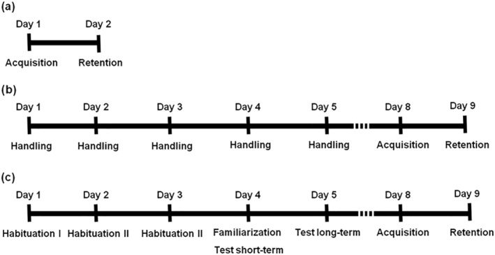Schedules of the different behavioral batteries administered to the rats to evaluate the effect of handling and non‐aversive memory test NORT on fear expression. (a) Schedule performed by the control PA group. (b) Schedule performed by Handling‐PA group. (c) Schedule performed by NORT‐PA group