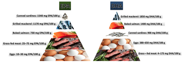 The main dietary sources of EPA and DHA. EPA—eicosapentaenoic acid, DHA—docosahexaenoic acid. Figure prepared based on the information reported by Elgar et al. [56].
