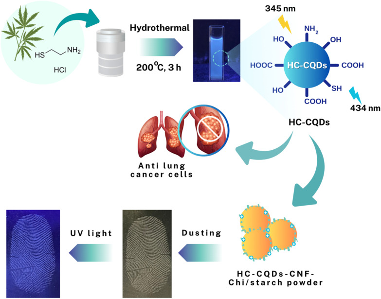 Synthesis of HC-CQDs, which were utilized to detect LFPs and can be possibly used against lung cancer cells.