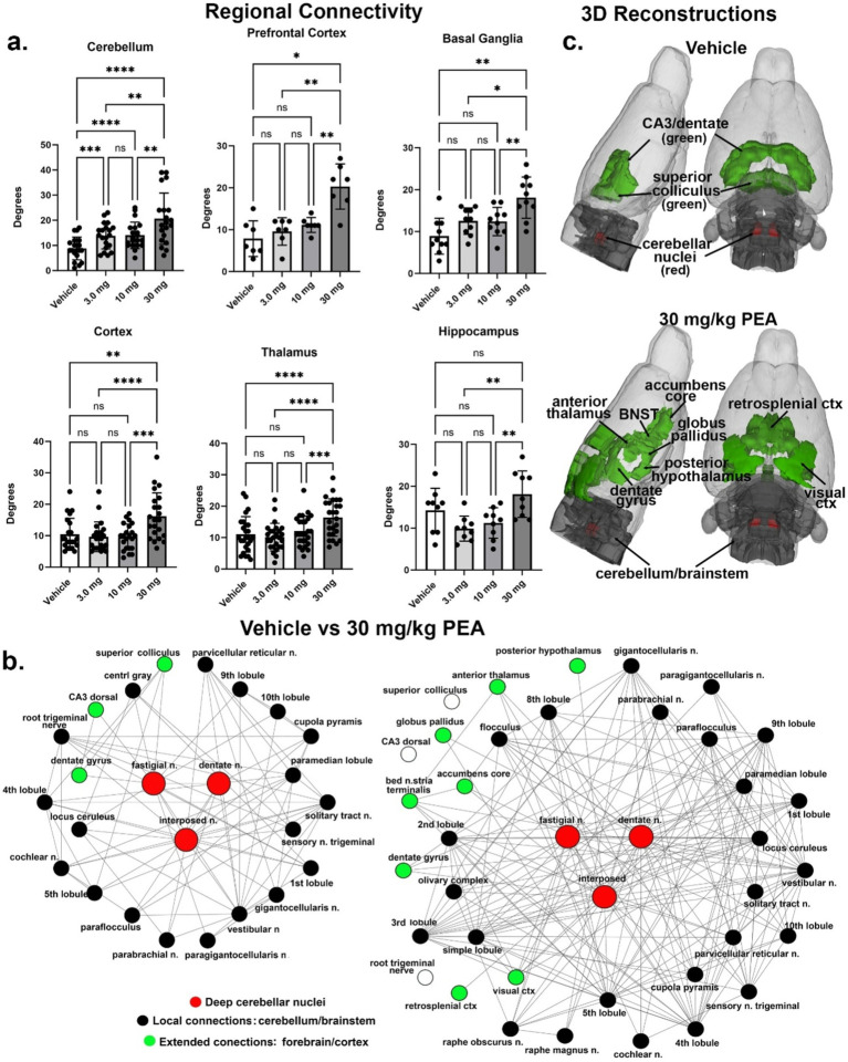 Functional connectivity. Shown in (A) are the number of degrees for the four main brain regions: primary somatosensory cortices, thalamus, prefrontal cortex, and basal ganglia. (B) Shows the radial representations of the connections or degrees (lines) to the three cerebellar nuclei (center red), e.g., fastigial, dentate and interposed following vehicle or 30 mg/kg PEA treatment. The black dots are brain areas within the cerebellum and immediate brainstem. Green dots are brain areas outside the hindbrain and more rostral. Note with PEA treatment the number of green dots increase as the deep cerebellar nuclei extent their connections to include visual cortex, accumbens and anterior thalamus as examples. (C) Is a 3D reconstruction of these brain areas colored coded black and green for vehicle and PEA treatments. All brain areas highlighted have direct connections to the cerebellar nuclei under each experimental condition. The significant difference in connectivity (Student t-test, ****p < 0.0001) is shown in the inserted bar graph at the center of the figure. *p < 0.05; **p < 0.01; ***p < 0.001.