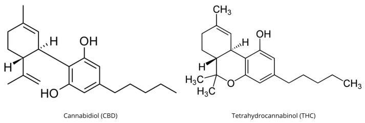 Chemical structure of the two principal phytocannabinoids: cannabidiol (CBD) and tetrahydrocannabinol (THC).