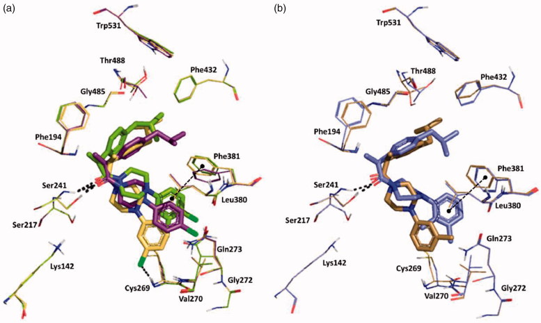Superposition between the lowest emodel binding mode of (S)-piperazinoarylamides: (a) 19, 20 and 21 depicted as yellow, purple and dark-green sticks, respectively; (b) 25 and 26 dysplayed as brown and violet sticks, respectively. rFAAH key residues involved in ligand interactions are displayed as lines coloured relatively as the interacting ligand. Hydrogen bond interactions and T-shaped π-π stacking interaction detected by Maestro 11.1 are shown as dashed black lines. Globally, the substitution of a chorine atom to the phenyl ring (compound 19) allows an Hbond interaction with Cys269. The addition of a one more methyl group on the aromatic ring (amide 26) does not affect the binding mode of the two ligands, except for the phenyl ring itself that in the case of amide 26 is slightly oriented toward the Phe381 residue engaging one T-shape π-π stacking interaction.
