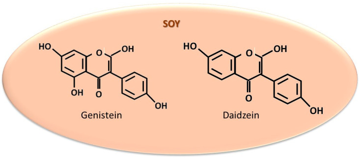 The most significant structures identified in soy, studied for estrogen-like action.