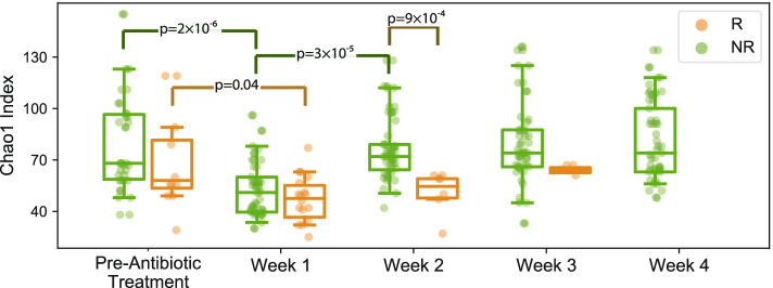 Ecological diversity of recurrers’ gut microbiomes recovered significantly more slowly than non-recurrers’. Alpha diversity (Chao index), a measure of species richness, significantly decreased pre- to 1 week post-CDI antibiotic treatment within both recurrent and non-recurrent groups. From one week to two weeks post-CDI treatment, alpha diversity recovered significantly only within the non-recurrent group. Alpha diversity only differed significantly between the recurrent and non-recurrent groups at 2 weeks post-CDI antibiotic treatment, with higher diversity in the non-recurrent group. R = recurrers, NR = non-recurrers