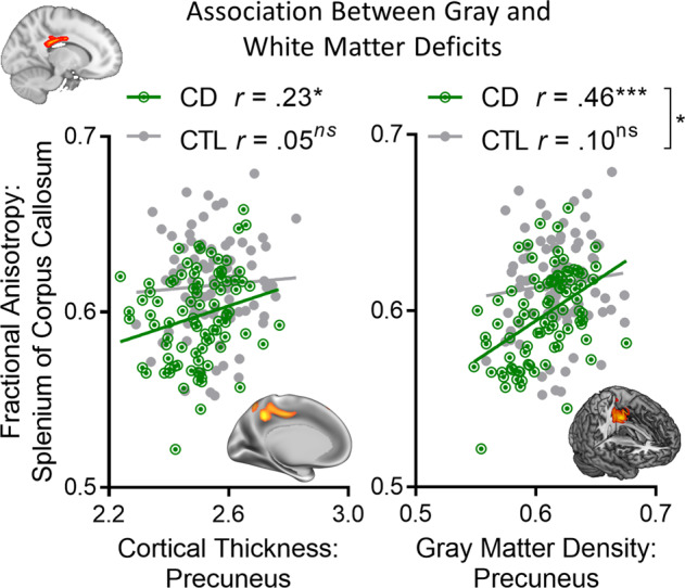 Association between gray matter and white matter deficits in cannabis users. Across individuals with cannabis dependence (CD), the white matter integrity of the splenium of corpus callosum (inset, top left) was positively associated with cortical thickness (left) and gray matter density (right) of the precuneus. However, no such association was observed in the CTL group, suggesting that this association may be specifically related to a common structural deficit observed in CD, and not simply due to the spatial proximity of corpus callosum and precuneus. The difference in slopes between groups for the association of fractional anisotropy and gray matter density was significant (z = 2.56; p = 0.011). Note: *p < 0.05; ***p < 0.001; ns nonsignificant
