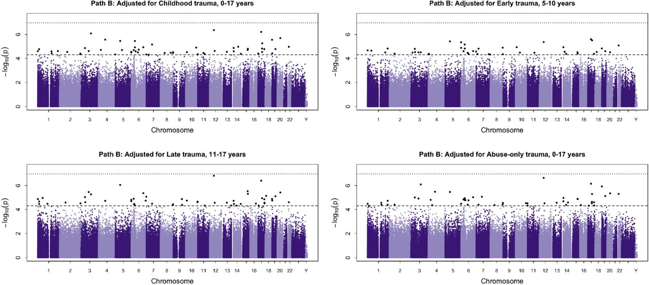 Epigenome-wide association analysis of DNAm and PLEs (Path B).Manhattan plot showing epigenome-wide association results examining the relationship between DNAm and PLEs (Path B), adjusted for childhood trauma. Each point represents a CpG site plotted according to genomic position across chromosomes and the –log10-transformed p-value. The horizontal dashed line indicates a suggestive discovery threshold (p < 5 x 10−5), while the dotted line represents the more conservative Bonferroni-corrected threshold.