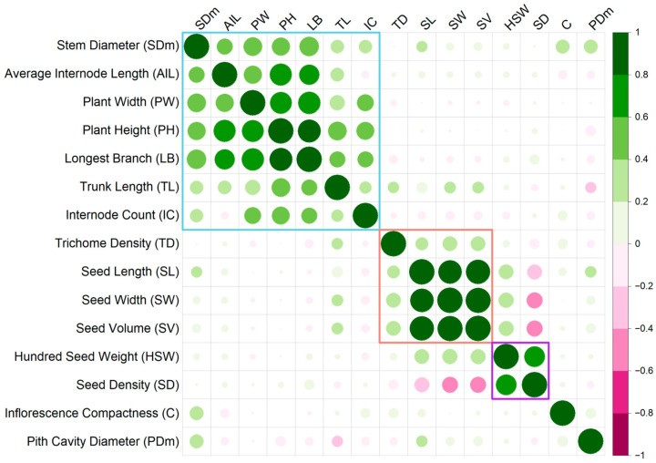 Pearson correlation matrix of seed traits and agronomic traits phenotyped in this study (p-value < 0.05), where green represents positive correlations and pink represents negative correlations. Coloured squares indicate positively correlated trait groups: blue—plant agro-morphological phenotypes, red—seed dimension traits, purple—seed mass-related traits. Correlation coefficients and p-values for all comparisons are listed in Table S8.