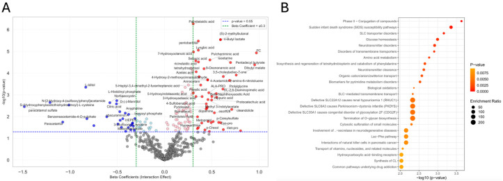 Metabolites associated with interaction effect identified by ANCOVA. (A) Volcano plot illustrating the interaction effect on metabolites, displaying beta coefficients (x-axis) versus (−log10(p-values)) (y-axis). Red dots represent metabolites significantly upregulated in the interaction group (β > 0.301, p < 0.05), and blue dots indicate significant downregulation (β < −0.301, p < 0.05). Horizontal and vertical dashed lines represent p-value and beta coefficient thresholds, respectively. Annotated metabolites reflect those passing both thresholds and among the most significant based on p-value. (B) Bubble plot representing the top 25 enriched metabolite sets associated with the interaction effect. Bubble size corresponds to the enrichment ratio, and color represents statistical significance (p-value), with darker colors indicating stronger enrichment. Pathways are ranked by (−log10(p-value)), with the most statistically enriched pathways appearing at the top.