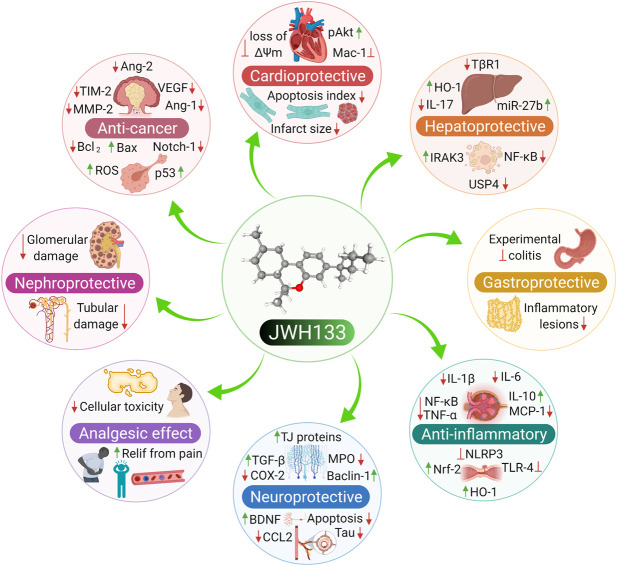 The Pharmacological properties of JWH133.