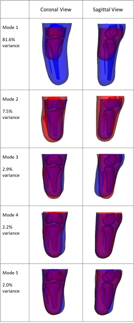 SSM mode shapes as described by 2.5th (blue) to 97.5th percentile (red) estimated variance range from in the training dataset. These permit the principal modes of residual limb shape variance to be inspected.