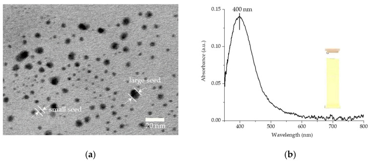 (a) TEM image. (b) UV-vis absorption spectrum of the as-prepared spherical Ag nanoseeds.