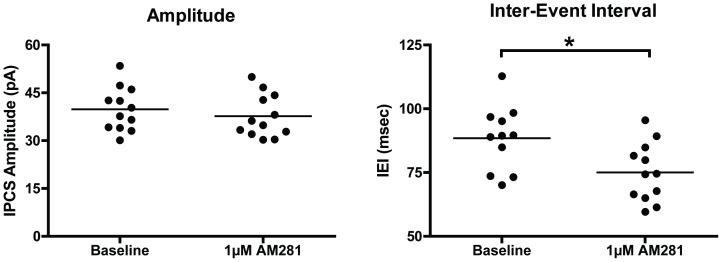 AM281 reduces the inter-event interval of GABAA sIPSCs in layer II/III PNs.Each data point represents the average sIPSC amplitude or inter-event interval from one neuron (N = 11–13). Baseline data points represent different cells (but the same cultures) from those recorded after 1 hr of incubation with AM281 (1 µM). Horizontal lines represent group means. Asterisks (*) represents a significant group difference, p<0.05.