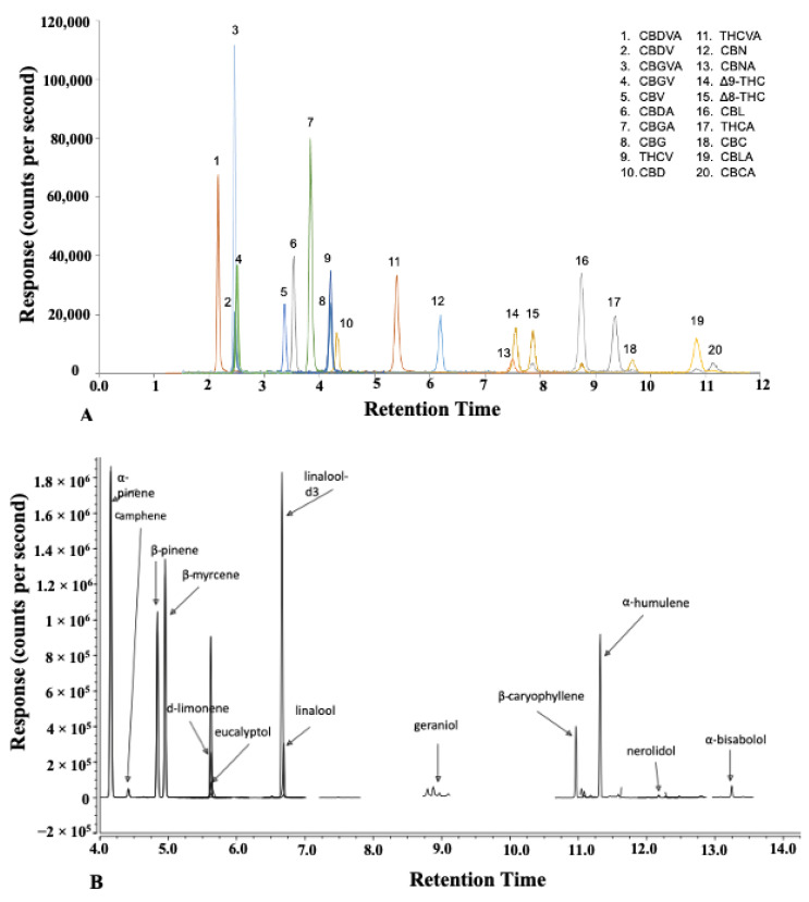 (A) LC-MS/MS chromatogram of cannabinoids and (B) GC-MS/MS chromatogram of terpenes.