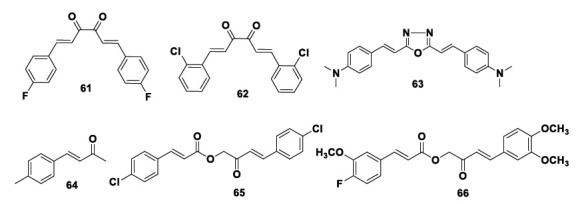 Chemical structures of the novel curcumin derivatives 61-66 with remarkable effect on tau aggregates’ formation and neurotoxicity.