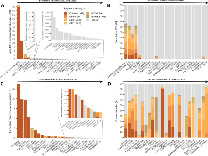 The top 25 Cannabis seed bacterial classes and genera, regarding their abundance and diversity in the community dataset, and their missing fractions. A Mean relative abundance of the different bacterial classes ranked from higher to lower and showing the cumulative contribution of the cultured and uncultured fractions for each. B Diversity of the different bacterial classes ranked from higher to lower and showing the cumulative contribution of the cultured and uncultured fractions for each. C Mean relative abundance of the different bacterial genera ranked from higher to lower and showing the cumulative contribution of the cultured and uncultured fractions for each. D Diversity of the different bacterial genera ranked from higher to lower and showing the cumulative contribution of the cultured and uncultured fractions for each.