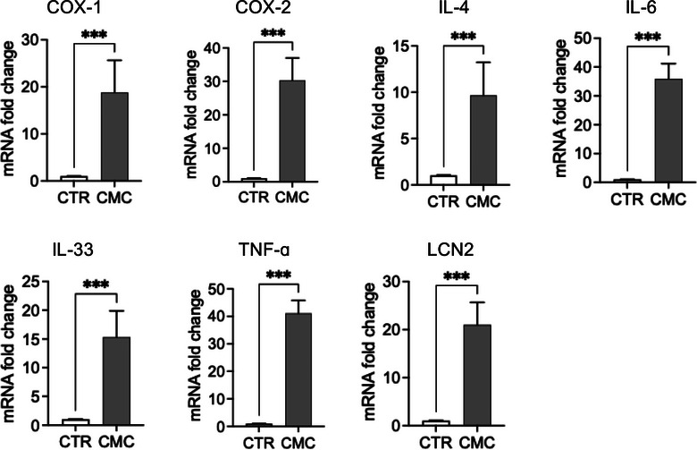 Inflammatory and regulatory gene expression. mRNA fold change of COX1, COX2, interleukin (IL)‐4, IL‐6, IL‐33, tumour necrosis factor‐alpha (TNF‐α) and LCN2 in the canine mammary carcinoma (CMC) group relative to the healthy control (CTR) group by reverse transcription quantitative polymerase chain reaction (RT‐qPCR). The data represent mean ± standard error of the mean (SEM) of independent biological replicates. Statistical significance: *** p < 0.001 versus CTR.