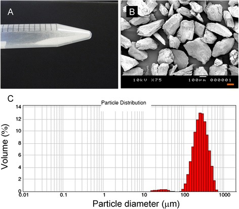 Appearance and SEM images of prepared demineralized allogenic bone powder. (A) Photograph of the prepared bone powder in a 1.5-cm diameter tube. (B) SEM image of the prepared bone powder. Scale bar indicates 100 μm. (C) Graph showing the size distribution of the prepared demineralized allogenic bone powder particles.