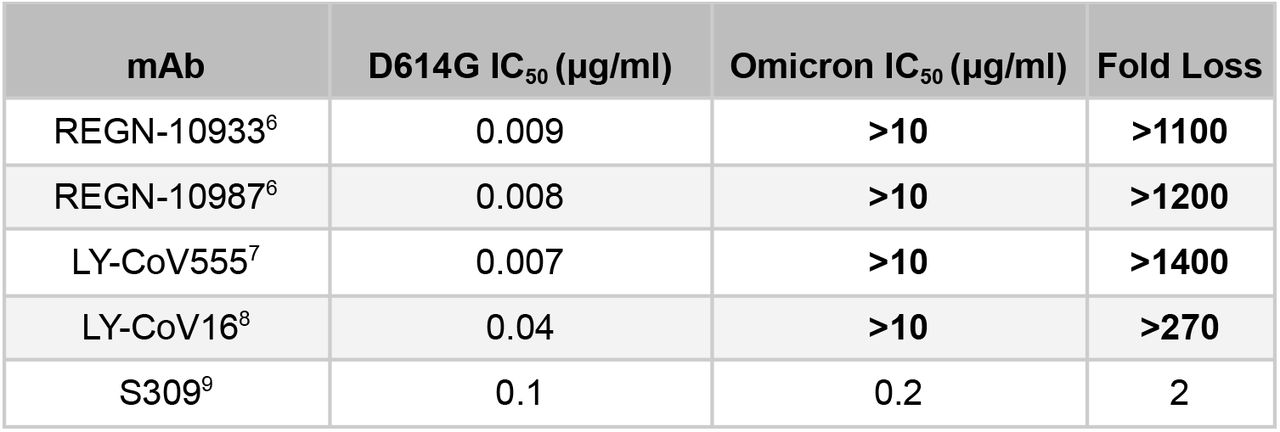 Failure of several monoclonal antibodies included in therapeutic cocktails to neutralize the Omicron variant.