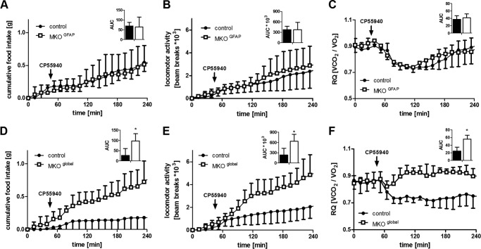 Acute response of MKOGFAP and MKOglobal mice upon CBR agonist treatment. Mice were housed in a laboratory animal monitoring system (LabMaster, TSE Systems). A, D, food intake; B, E, locomotor activity; and C, F, respiratory quotient (RQ) were monitored after intraperitoneal injection of 0.15 mg/kg CBR agonist CP55940 (dissolved in 0.9% saline containing 5% ethanol and 5% Cremophor®). Arrows indicate time point of injection. Mice were familiarized with cages for 3 days before measurement. As controls we used floxed littermates for MKOGFAP mice and wild-type littermates for MKOglobal mice. Data are presented as mean ± S.D. (n = 4–6). *, p < 0.05 (Student's t test).