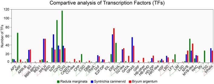Comparative analysis of Transcription Factor families from Radula marginata and related moss species. TF families are on X-axis while number of TFs for each family shown on Y-axis. Green dotted box represents abundant TF families; those in red dotted box are less abundant, green solid-line box is for TF families that are exclusively observed in R. marginata compared with related moss species, while red solid-line box represents TF families that were not observed in R. marginata.
