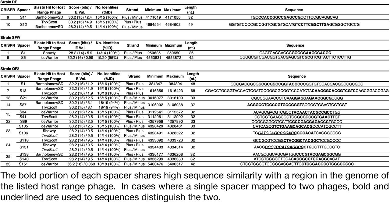 Spacers within the genomes of strain DF, SFW, and QF2 that have sequence similarity to at least one of the four phage isolates.