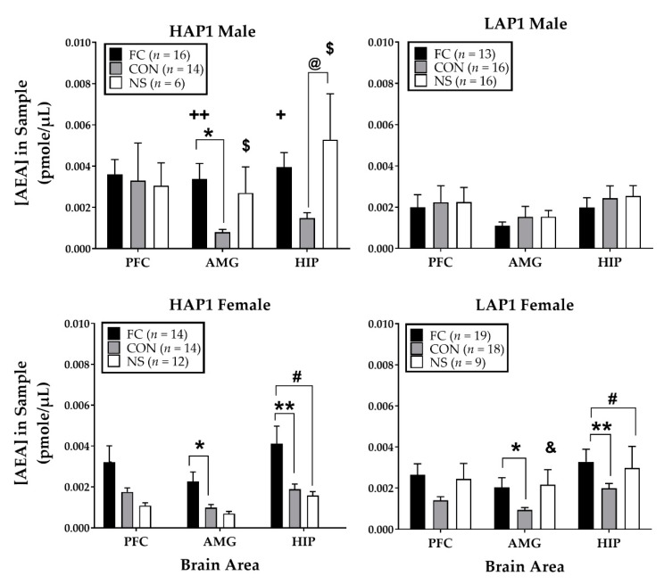 Mean (±SEM) concentration of AEA (the endocannabinoids, anandamide) in the prefrontal cortex (PFC), amygdala (AMG), and hippocampus (HIP) immediately after the FPS test in HAP1 (left panels) and LAP1 (right panels) male and female mice in the fear-conditioned (FC; paired light + shock), control (CON; unpaired light and shock) and no-shock (NS; light only) groups for experiment 1. +p = 0.05, ++p = 0.01 FC males HAP1>LAP1; *p < 0.05, ** p < 0.01 FC > CON (collapsed across line in females only); #p < 0.05, females FC > NS (collapsed across line); male HAP1 @p < 0.05, NS > CON; &p < 0.05, NS females LAP1 > HAP1; $p < 0.05, NS HAP1 males > females.