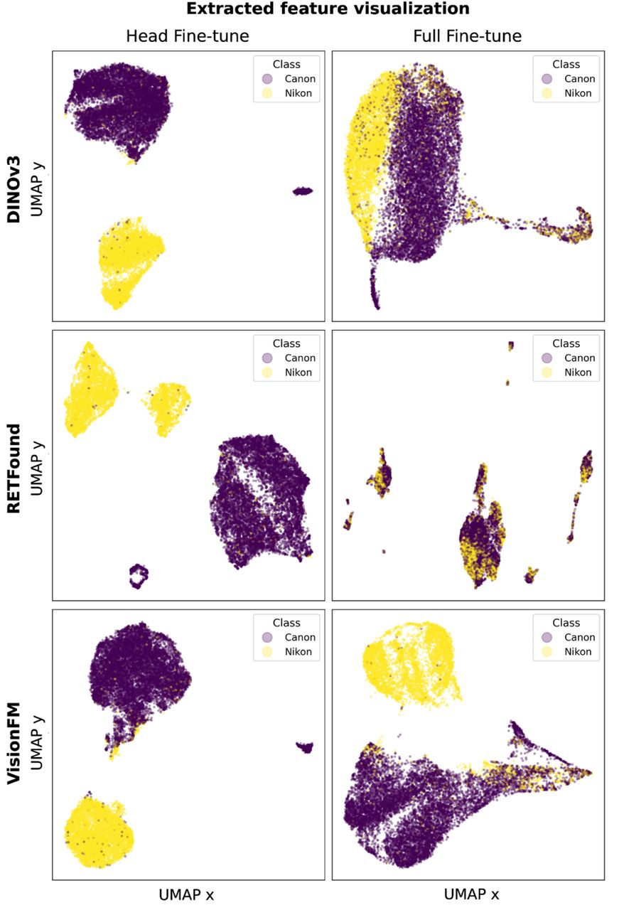 Feature space visualization of head and full fine-tuned foundation models by camera type