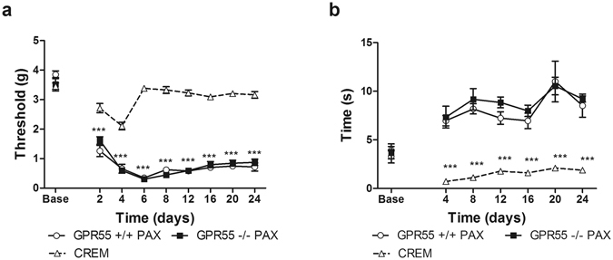 GPR55 KO and WT mice develop similar levels of paclitaxel-induced mechanical and cold allodynia. GPR55 KO and WT mice display similar levels of paclitaxel-induced mechanical (a) and cold (b) allodynia. Responding did not differ in GPR55 KO or WT mice that received the cremophor vehicle (CREM) in lieu of paclitaxel, and these groups were pooled into a single control (paclitaxel-untreated) group. Data are expressed as mean ± SEM (n = 5–8 per group). ***p < 0.001 GPR55 KO PAX and WT PAX vs. cremophor, 2-way ANOVA, Bonferroni post-hoc.