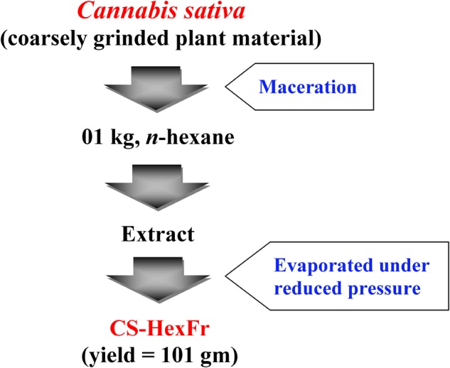 Extraction scheme for Cannabis sativa to get n-hexane fraction (Ullah, 2013). The plant material was macerated twice with n-hexane. The extract was filtered and concentrated under reduced pressure using rotary evaporator to get CS-HexFr.