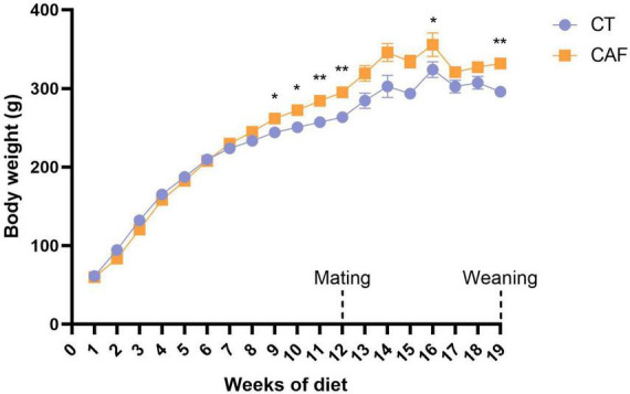 Dams’ body weight throughout the experiment. Cafeteria diet-fed (CAF) dams presented significantly higher body weight when compared to control diet (CT) from the 9th week of diet, which was consistent until mating (12th week of diet) and after weaning of the offspring (19th week of diet). Data are presented as mean ± SEM. n = 9/group. *p < 0.05 **p < 0.01.