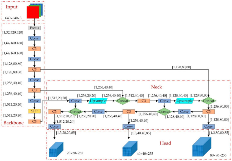 The structure of YOLOv5s.
