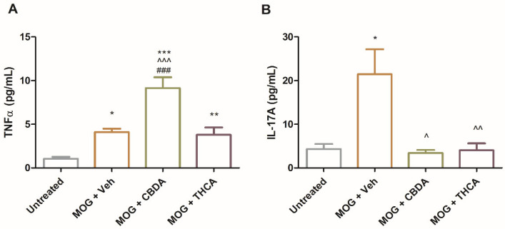 CBDA and THCA modulate TNFα and IL-17A secretion by splenocytes. Splenocytes were isolated from the four experimental groups described in Figure 6, restimulated ex vivo with MOG (1 µg\mL), and cultured for 48 h. Levels of TNFα (A) and IL-17A (B) in the splenocyte culture supernatants were measured by ELISA. Data are presented as means ± SEM from two independent experiments (n = 12). Statistical analysis was performed using one-way ANOVA followed by Tukey–Kramer multiple comparisons post hoc test *** p < 0.001 vs. untreated, ** p < 0.01 vs. untreated, * p < 0.05 vs. untreated, ^^^ p < 0.001 vs. MOG + Veh, ^^ p < 0.01 vs. MOG + Veh, ^ p < 0.05 vs. MOG + Veh, ### p < 0.001 vs. MOG + THCA.