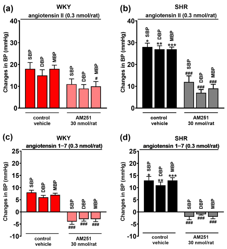 Influence of the CB1 receptor antagonist AM251 on the pressor effect of angiotensin II (AT1/2 receptor agonist) (a,b) and angiotensin 1–7 (Mas receptor agonist) (c,d) injected into the paraventricular nucleus of hypothalamus (PVN) in conscious Wistar Kyoto (WKY) and spontaneously hypertensive rats (SHR). Results, presented as mean ± SEM (n = 7–8), are calculated as change in basal values determined before agonist/antagonist injection. # p < 0.05, ### p < 0.001 compared to the corresponding control group. * p < 0.05, ** p < 0.01, *** p < 0.001 compared to WKY.