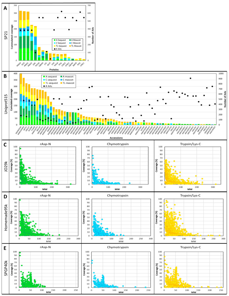 Comparison of the protein coverage results obtained using the five databases. (A) Histogram of cumulated sequence coverage for the 18 proteins identified using SP21 database. The secondary Y-axis represents the number of AAs. (B) Histogram of cumulated sequence coverage for the 72 accessions identified using Uniprot515 database. The secondary Y-axis represents the number of AAs. (C) Scatterplot of the coverage of the 1343 accessions identified using JO29k database plotted against their MWs (kD) for each digestion. (D) Scatterplot of the coverage of the 1442 accessions identified using Homemade95k database plotted against their MWs (kD) for each digestion. (E) Scatterplot of the coverage of the 819 accessions identified using SPGP40k database plotted against their MWs (kD) for each digestion.