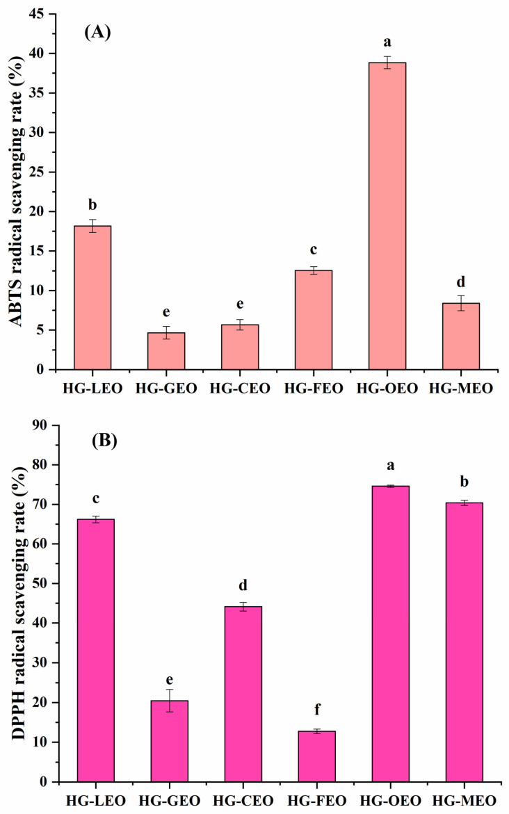 Antioxidant activity ((A): ABTS free radicals; (B): DPPH free radicals) of essential oil encapsulated in hemp protein isolate (HPI)–gallic acid conjugates. HG: conjugates of hemp protein isolate and gallic acid; LEO: essential oil from lemon; GEO: essential oil from grapefruit; CEO: essential oil from camellia; FEO: essential oil from fragrans; OEO: essential oil from oregano; MEO: essential oil from mustard. Superscripts with different letters in the same pattern are significantly different (p < 0.05).