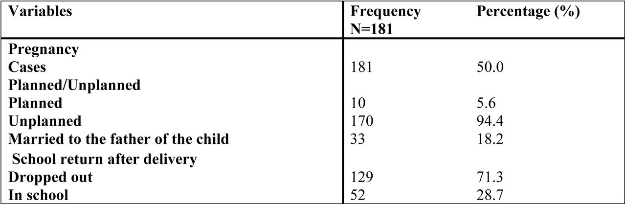 General characterization of pregnancies among teenagers