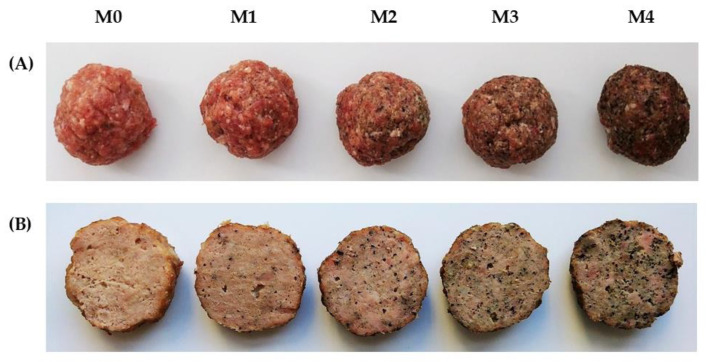 The meatballs before (A) and after (B) cooking. M0 = control; M1, M2, M3, M4 = meatballs with increasing content of hemp cake, i.e., 0.9%, 2.6%, 4.2% and 7.4%, respectively.