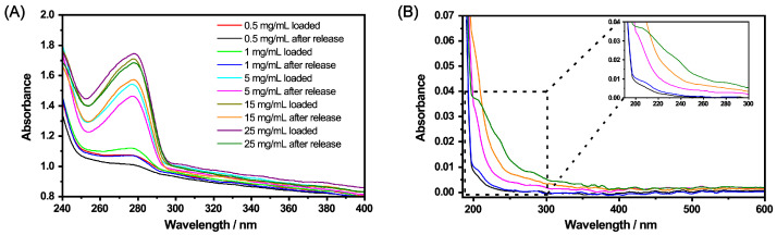 UV/Vis measurements of the copolymer microgels loaded with CBD and after the release of CBD (A). The loading was conducted in ethanol at 20 ∘C, then the solvent was completely removed and replaced by water. CBD in the supernatant after the release (40 ∘C) in water (B). The concentrations in (B) correspond to the colours after the release in (A).